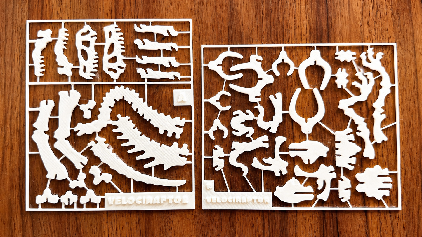 3D Printed Velociraptor Skeleton Puzzle